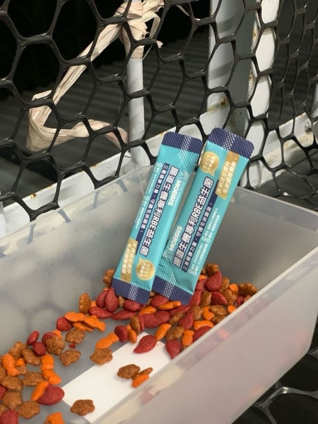 女人知己試用大隊,口碑行銷,部落客行銷,Moegis萌吉 腸道生機專利RBE益生菌,寵物益生菌,專利RBE益生元,專利蔬果酵素,小分子胜肽,藍藻粉,維持免疫力,幫助維持消化道機能,維持正常食慾,改變細菌叢生態,腸胃保健,犬貓適用